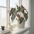 KÖRSBÄRSBJÖRK Plant pot, light grey/beige, 19 cm