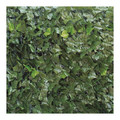 Garden Screen Leaves 100x300cm