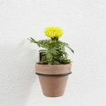 Verve Plant Pot Wall Holder 2pcs
