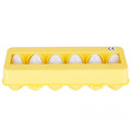 Matching Eggs Puzzle Vehicles 3+