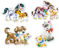 Castorland Children's Puzzle Animals with Babies 4x Contour Puzzle 3+
