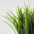 FEJKA Artificial potted plant, indoor/outdoor, grass, 9 cm