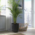 PÄRLRÖNN Plant pot, in/outdoor/black, 32 cm