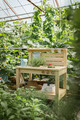 Kid's Concept Outdoor kitchen KID'S HUB 2+