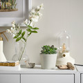KÖRSBÄRSBJÖRK Plant pot, light grey/beige, 9 cm