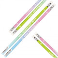 HB Pencil with Rubber Set of 48pcs Ombre