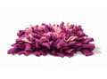 MIMIKO Pets Snuffle Mat Size L, magenta, pink