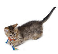 Petstages Cat Toys Dental Health Pair Chews