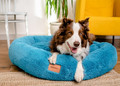 MIMIKO Pets Dog Bed Lair Shaggy Round XXL 100cm, turquoise