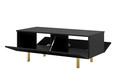 Coffee Table with Storage Scalia II 120, matt black, gold legs