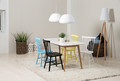 Dining Chair Riano