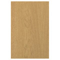 SINARP Door, oak veneer, 40x60 cm