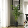 PÄRLRÖNN Plant pot, in/outdoor/black, 24 cm