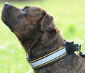 Dingo Reflective Dog Leash 2.0x120cm
