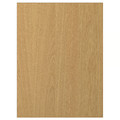 SINARP Door, oak veneer, 60x80 cm