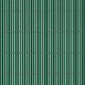 Eco Privacy Screen 100 x 300 cm, recycled, green