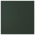 HAVSTORP Door, deep green, 40x40 cm