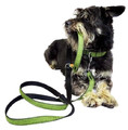 Dingo Adjustable Dog Leash Scandi 2x220cm, grey