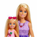 Barbie Family & Friends Dolls & Accessories JBF43 3+