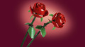 LEGO Botanical Collection Roses 8+