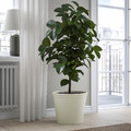 KÖRSBÄRSBJÖRK Plant pot, light grey/beige, 32 cm