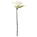 SMYCKA Artificial flower, in/outdoor/Camellia white, 28 cm