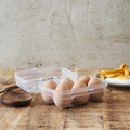 6-Egg Plastic Container