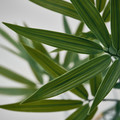 FEJKA Artificial potted plant, in/outdoor/bamboo, 21 cm