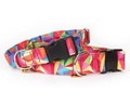 Dingo Adjustable Dog Collar America Colorado 2.0cm/45cm