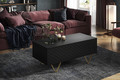 Coffee Table with Storage Scalia 120, matt black/gold legs