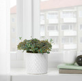 CHIAFRÖN Plant pot, white, 9 cm