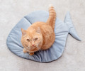 MIMIKO Pets Velvet Cat Mat Fish