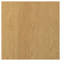 SINARP Door, oak veneer, 60x60 cm