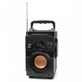 SQUEAK Speaker Bluetooth Bassblaster 5.1 SQ1001