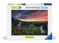 Ravensburger Jigsaw Puzzle 1000pcs Storm 14+
