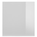 SELSVIKEN Door, high-gloss light grey, 60x64 cm