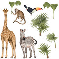 Wall Sticker Set - Safari Animals II