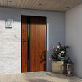 External Door Pantor Etna Black 90, right, gold oak