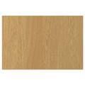 SINARP Door, oak veneer, 60x40 cm
