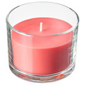 LOTSFÅGEL Scented candle in glass, Watermelon bright pink, 20 hr