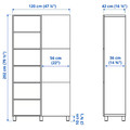 BESTÅ Storage combination with doors, white/Björköviken birch veneer, 120x42x202 cm