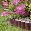 Garden Edging Ipal6 3.02 m, brown