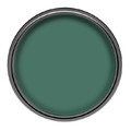 Dulux Walls & Ceilings Matt Latex Paint 5l finely emerald