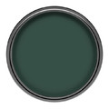 Dulux Walls & Ceiling Matt Latex Paint 2.5L, boho green