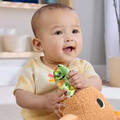 Fisher-Price Snuggly Snacky Capybara Plush Baby Sensory Toy HYR54 6m+