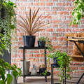 KLOTLÖNN Plant pot with saucer, in/outdoor/black-blue, 19 cm
