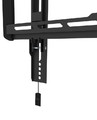 NewStar TV Wall Mount 32-65" 60kg WL35-550BL14