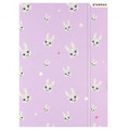 Document File Folder with Elastic Band A4 1pc Rabbit