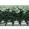 Klikstrom Garden Screen Conifers 100 x 100 cm
