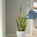 ÅKERBÄR Watering can, in/outdoor dark blue, 5 l